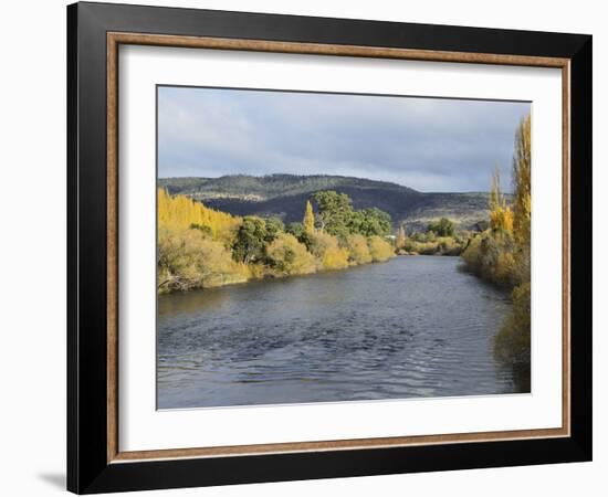 River Derwent, Bushy Park, Tasmania, Australia, Pacific-Jochen Schlenker-Framed Photographic Print