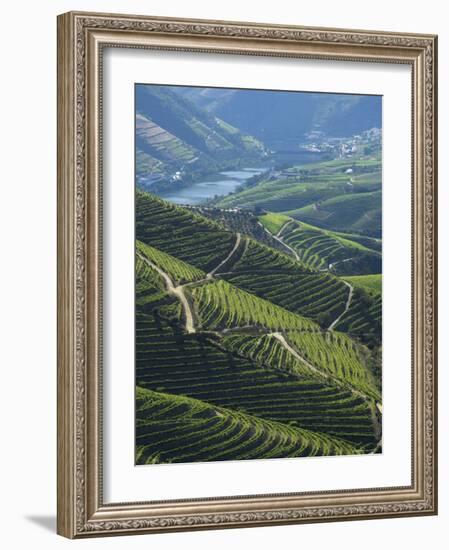 River Douro, Douro Region, Northern Portugal-Alan Copson-Framed Photographic Print