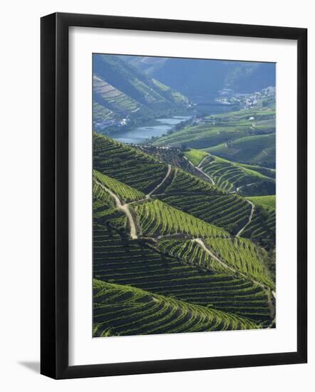 River Douro, Douro Region, Northern Portugal-Alan Copson-Framed Photographic Print