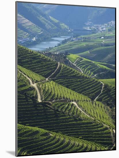 River Douro, Douro Region, Northern Portugal-Alan Copson-Mounted Photographic Print