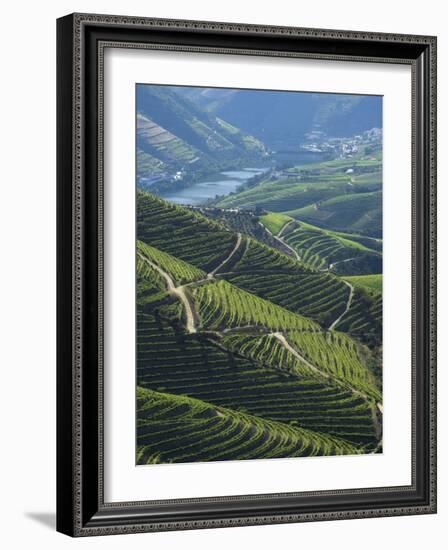 River Douro, Douro Region, Northern Portugal-Alan Copson-Framed Photographic Print