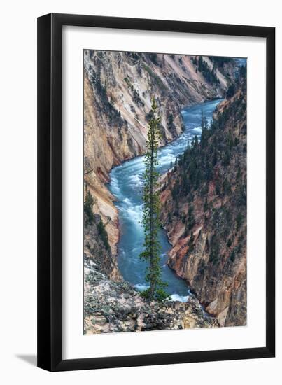 River Dreams Grand Canyon of the Yellowstone Unqure Detail Wyoming-Vincent James-Framed Photographic Print