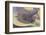 River Estuary Colored by Glacial Melt, Hvammur, Sw Iceland-Peter Adams-Framed Photographic Print