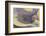 River Estuary Colored by Glacial Melt, Hvammur, Sw Iceland-Peter Adams-Framed Photographic Print