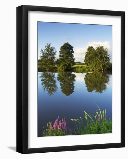 River Exe Near Brampford Speke, Devon, England, United Kingdom, Europe-Jeremy Lightfoot-Framed Photographic Print