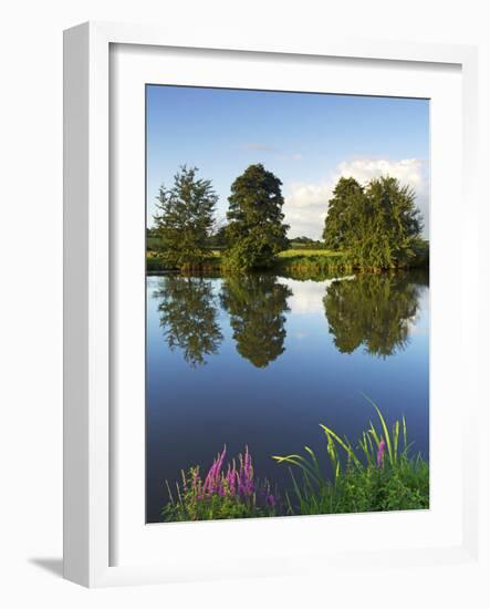 River Exe Near Brampford Speke, Devon, England, United Kingdom, Europe-Jeremy Lightfoot-Framed Photographic Print