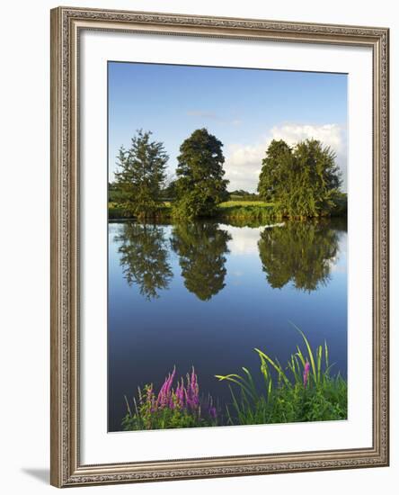 River Exe Near Brampford Speke, Devon, England, United Kingdom, Europe-Jeremy Lightfoot-Framed Photographic Print