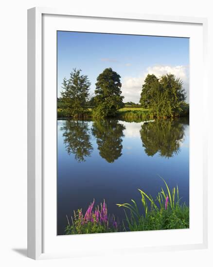 River Exe Near Brampford Speke, Devon, England, United Kingdom, Europe-Jeremy Lightfoot-Framed Photographic Print