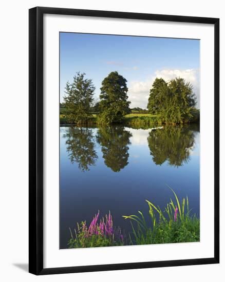 River Exe Near Brampford Speke, Devon, England, United Kingdom, Europe-Jeremy Lightfoot-Framed Photographic Print