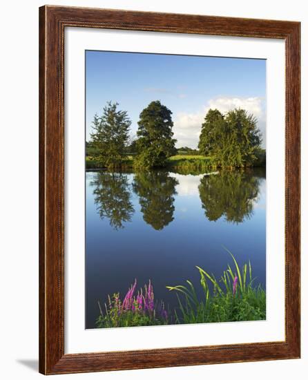 River Exe Near Brampford Speke, Devon, England, United Kingdom, Europe-Jeremy Lightfoot-Framed Photographic Print