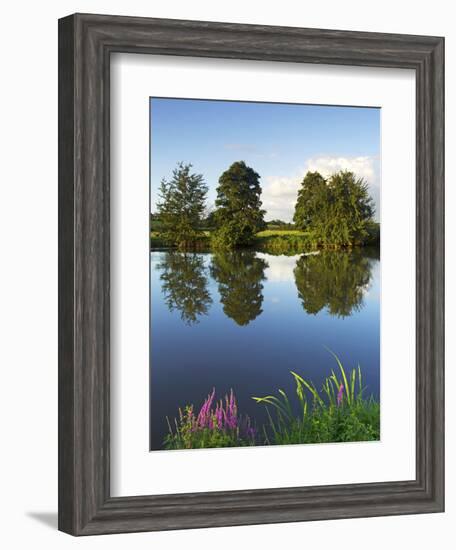 River Exe Near Brampford Speke, Devon, England, United Kingdom, Europe-Jeremy Lightfoot-Framed Photographic Print