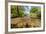 River Exe, Near Winsford, Exmoor National Park, Somerset, UK-Ross Hoddinott-Framed Photographic Print