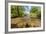 River Exe, Near Winsford, Exmoor National Park, Somerset, UK-Ross Hoddinott-Framed Photographic Print