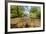 River Exe, Near Winsford, Exmoor National Park, Somerset, UK-Ross Hoddinott-Framed Photographic Print