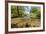 River Exe, Near Winsford, Exmoor National Park, Somerset, UK-Ross Hoddinott-Framed Photographic Print