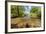 River Exe, Near Winsford, Exmoor National Park, Somerset, UK-Ross Hoddinott-Framed Photographic Print