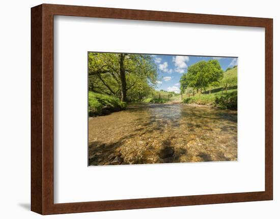 River Exe, Near Winsford, Exmoor National Park, Somerset, UK-Ross Hoddinott-Framed Photographic Print