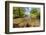 River Exe, Near Winsford, Exmoor National Park, Somerset, UK-Ross Hoddinott-Framed Photographic Print