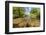 River Exe, Near Winsford, Exmoor National Park, Somerset, UK-Ross Hoddinott-Framed Photographic Print