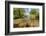 River Exe, Near Winsford, Exmoor National Park, Somerset, UK-Ross Hoddinott-Framed Photographic Print