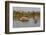 River Family Living on the Tonle Sap River in Kampong Chhnang, Cambodia, Indochina-Michael Nolan-Framed Photographic Print