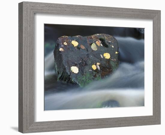 River Flowing Around Rock, Scotland, UK-Pete Cairns-Framed Photographic Print
