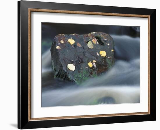 River Flowing Around Rock, Scotland, UK-Pete Cairns-Framed Photographic Print