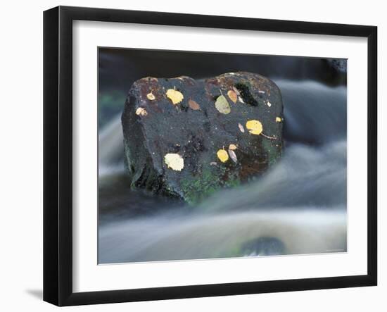 River Flowing Around Rock, Scotland, UK-Pete Cairns-Framed Photographic Print