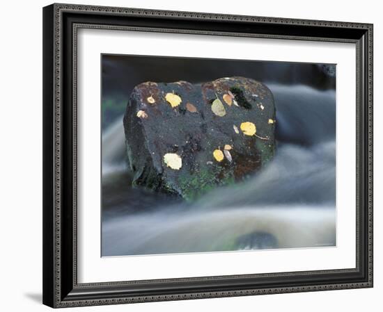 River Flowing Around Rock, Scotland, UK-Pete Cairns-Framed Photographic Print