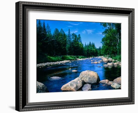 River flowing through a forest, Ausable River, Lake Placid, Adirondack Mountains, Essex County,...-null-Framed Photographic Print