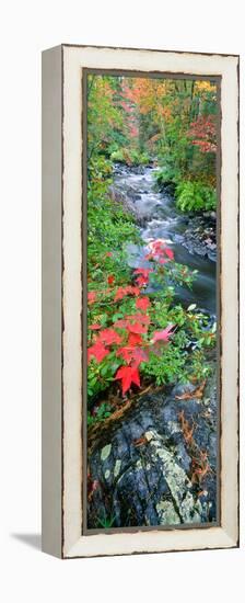 River Flowing Through a Forest, Black River, Upper Peninsula, Michigan, USA-null-Framed Premier Image Canvas