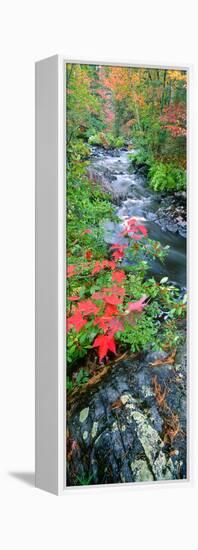 River Flowing Through a Forest, Black River, Upper Peninsula, Michigan, USA-null-Framed Premier Image Canvas