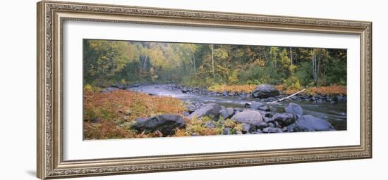 River Flowing Through a Forest, Brule River, Judge C.R. Magney State Park, Minnesota, USA-null-Framed Photographic Print