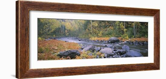 River Flowing Through a Forest, Brule River, Judge C.R. Magney State Park, Minnesota, USA-null-Framed Photographic Print