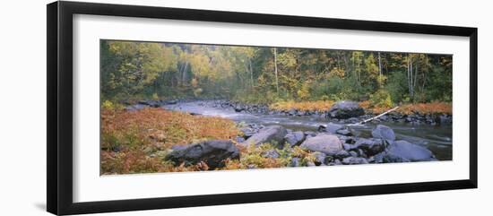 River Flowing Through a Forest, Brule River, Judge C.R. Magney State Park, Minnesota, USA-null-Framed Photographic Print