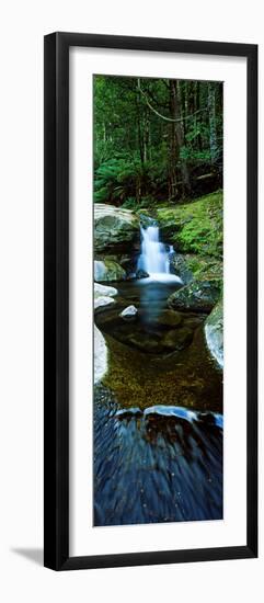 River Flowing Through a Forest, Liffey Falls, Liffey River, Tasmania, Australia-null-Framed Photographic Print