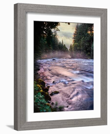 River flowing through a forest, McKenzie River, Belknap Hot Springs, Willamette National Forest...-null-Framed Photographic Print