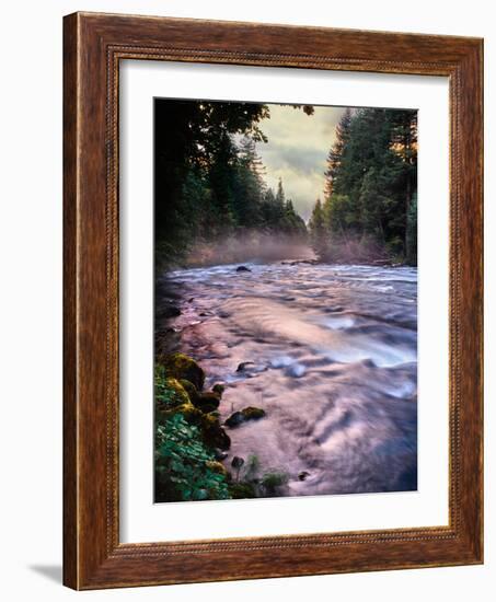 River flowing through a forest, McKenzie River, Belknap Hot Springs, Willamette National Forest...-null-Framed Photographic Print