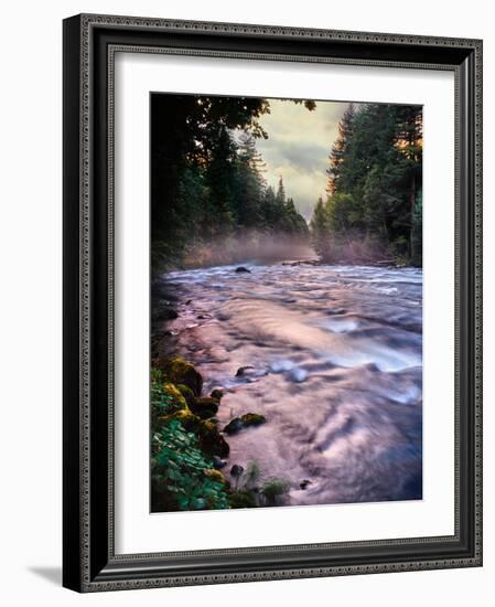 River flowing through a forest, McKenzie River, Belknap Hot Springs, Willamette National Forest...-null-Framed Photographic Print