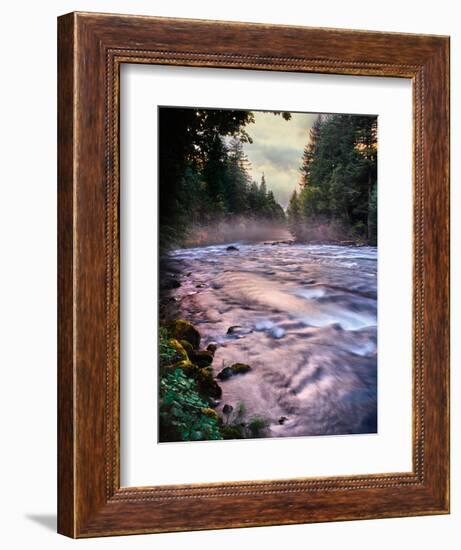 River flowing through a forest, McKenzie River, Belknap Hot Springs, Willamette National Forest...-null-Framed Premium Photographic Print