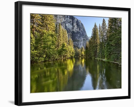 River Flowing Through a Forest, Merced River, Yosemite Valley, Yosemite National Park, Californi...-null-Framed Photographic Print