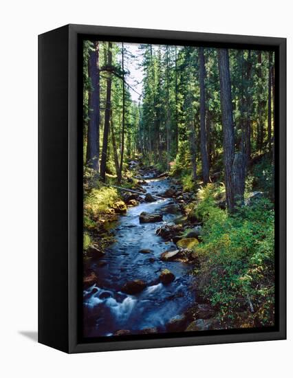 River flowing through a forest, South Fork, Upper Rogue River, Rogue River-null-Framed Premier Image Canvas