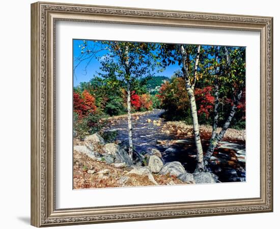 River flowing through a forest, Swift River, Kancamagus Highway, White Mountain National Forest...-null-Framed Photographic Print