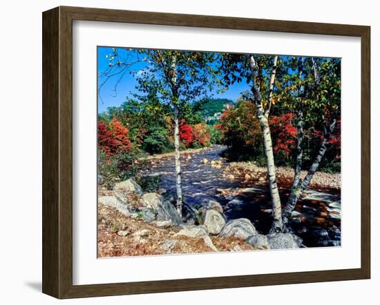 River flowing through a forest, Swift River, Kancamagus Highway, White Mountain National Forest...-null-Framed Photographic Print