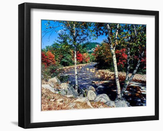 River flowing through a forest, Swift River, Kancamagus Highway, White Mountain National Forest...-null-Framed Photographic Print