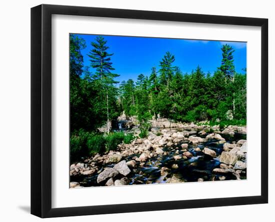 River flowing through a forest, West Branch Ausable River, Adirondack Mountains, New York State...-null-Framed Photographic Print