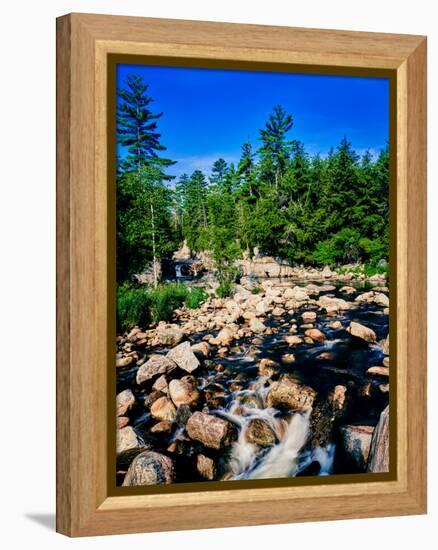 River flowing through a forest, West Branch Ausable River, Adirondack Mountains, New York State...-null-Framed Premier Image Canvas