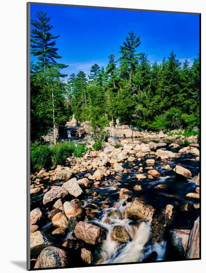 River flowing through a forest, West Branch Ausable River, Adirondack Mountains, New York State...-null-Mounted Photographic Print