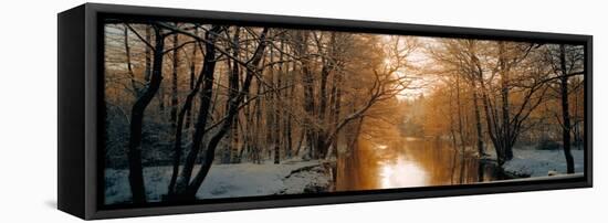 River Flowing Through a Forest-null-Framed Premier Image Canvas