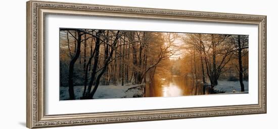 River Flowing Through a Forest-null-Framed Photographic Print